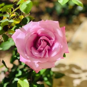 Meet your Posher, Erimar